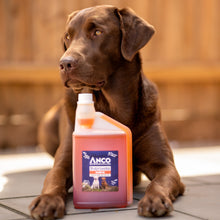 Load image into Gallery viewer, Anco Nutrients Salmon Oil with Herbs 1000ml
