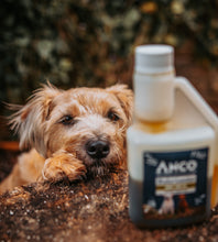Load image into Gallery viewer, Anco Nutrients Hemp Oil with Herbs 250ml