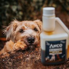 Load image into Gallery viewer, Anco Nutrients Hemp Oil with Herbs 250ml