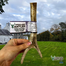 Load image into Gallery viewer, Antos Nova Highland Antler Medium