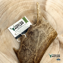 Load image into Gallery viewer, Antos Nova Highland Fallow Antler Large