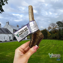 Load image into Gallery viewer, Antos Nova Highland Antler Medium