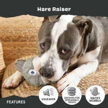 Load image into Gallery viewer, BARK Hare Raiser Dog Toy