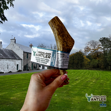 Load image into Gallery viewer, Antos Nova Highland Antler Small