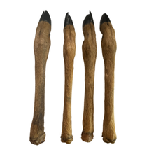 Load image into Gallery viewer, Four deer legs on a white background