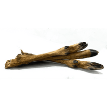 Load image into Gallery viewer, Two deer legs on a white background