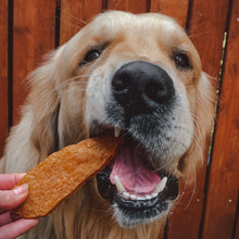 Load image into Gallery viewer, Dog biting a treat held by a person against a wooden fence background