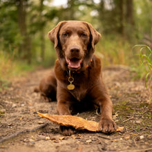 Load image into Gallery viewer, Anco Naturals Beef Udder Steak 100g