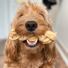 Load image into Gallery viewer, Dog chewing on a rope toy with a blurred background