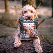 Load image into Gallery viewer, Dog holding a bag of ANCO Naturals Bully Sticks in a forest setting