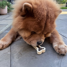 Load image into Gallery viewer, A fluffy brown Chow Chow dog lying on a stone patio, eating a small bone-shaped treat.