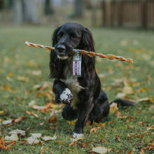 Load image into Gallery viewer, Dog running with a stick in its mouth on a grassy field