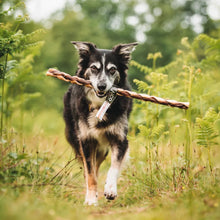 Load image into Gallery viewer, Anco Naturals Giant Beef and Camel Braided Roll