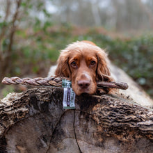 Load image into Gallery viewer, Dog with a chew toy on a log in a natural setting