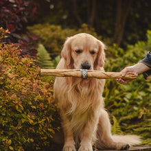 Load image into Gallery viewer, Dog holding a stick with a person's hand in a garden setting