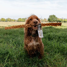 Load image into Gallery viewer, Dog holding a chew toy in a grassy field