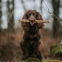 Load image into Gallery viewer, Brown dog holding a rope toy in a forest setting