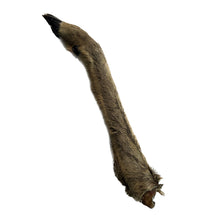 Load image into Gallery viewer, Dog chew deer leg on a white background