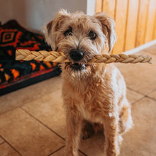 Load image into Gallery viewer, Dog holding a braided rope toy in its mouth on a tiled floor.