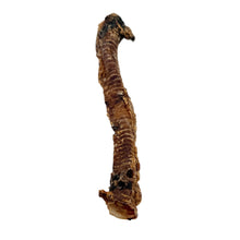 Load image into Gallery viewer, Two brown Anco Naturals Lamb Tube on a white background