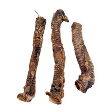 Load image into Gallery viewer, Three dried animal bones on a white background