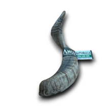 Load image into Gallery viewer, A curved horn-shaped product, likely a decorative horn or horn-like accessory, with a textured gray and blue-gray surface and a paper band reading 'ANCIENT NATURALS' and 'REAL LEAF HORN.' It is photographed on a plain white background with a drop shadow.