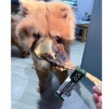 Load image into Gallery viewer, Dog holding a large bone with a brand label in a home setting