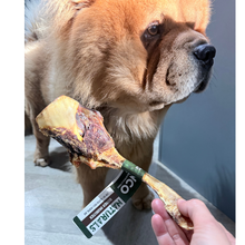 Load image into Gallery viewer, Dog looking at a rawhide bone held by a person with a brand label.