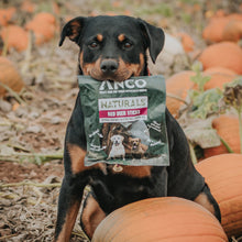 Load image into Gallery viewer, Dog holding a bag of ANCO Naturals Red Deer Sticks in a pumpkin patch