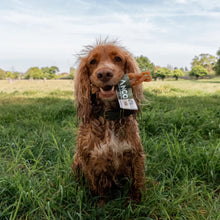 Load image into Gallery viewer, Dog holding a toy in its mouth outdoors on a grassy field with trees and blue sky in the background.