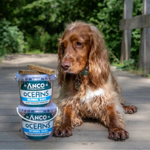 Load image into Gallery viewer, Dog sitting next to two Ancol Oceans dog treat containers on a wooden path with greenery in the background.