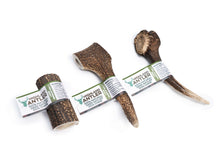 Load image into Gallery viewer, Antos Nova Highland Antler Large