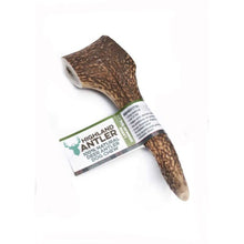 Load image into Gallery viewer, Antos Nova Highland Antler Large