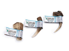Load image into Gallery viewer, antler-small-dog-chew_