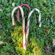 Load image into Gallery viewer, Antos Christmas Candy Cane