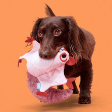 Load image into Gallery viewer, A dark brown dachshund dog holding a plush toy in its mouth against a solid orange background. The toy is light pink with red details and a purple fuzzy underside.