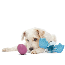 Load image into Gallery viewer, A small cream-colored dog lies on a white studio background with a pink textured ball toy in front of it and blue mesh dog toys on the right.