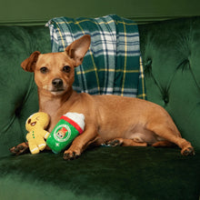 Load image into Gallery viewer, A small tan dog lies on a dark green tufted sofa, holding a green Christmas-themed plush toy and next to a gingerbread cookie plush. A green, white, and yellow plaid blanket is draped over the sofa behind the dog.