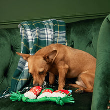 Load image into Gallery viewer, Dog playing with a toy on a green couch