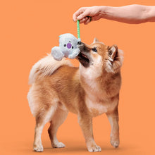 Load image into Gallery viewer, Dog playing with a toy held by a person against an orange background