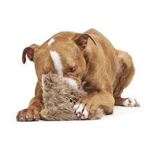 Load image into Gallery viewer, Bark Harry Potter Book of Monsters Dog Toy
