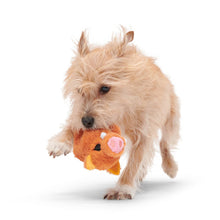 Load image into Gallery viewer, Dog running with a toy on a white background