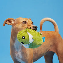 Load image into Gallery viewer, Dog playing with a green plush toy against a blue background