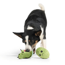 Load image into Gallery viewer, Dog playing with a green plush toy on a white background