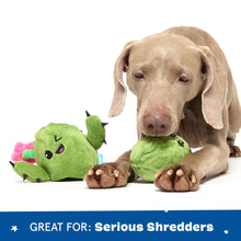 Load image into Gallery viewer, A light brown dog lies on a white background holding a green plush cactus toy, with another green plush toy and a pink toy beside it. A blue banner at the bottom reads 'GREAT FOR: Serious Shredders'.