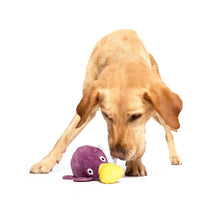 Load image into Gallery viewer, Dog playing with a purple and yellow toy on a white background