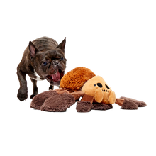 Load image into Gallery viewer, Dog standing next to a plush toy on a white background