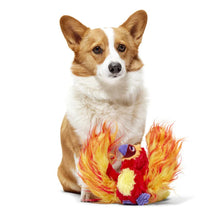 Load image into Gallery viewer, Dog with a colorful fire-themed toy on a white background