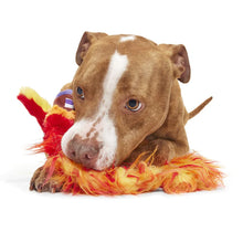 Load image into Gallery viewer, Dog playing with a colorful toy on a white background
