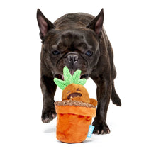 Load image into Gallery viewer, Dog playing with a plush pineapple toy on a white background